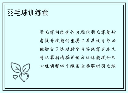 羽毛球训练套
